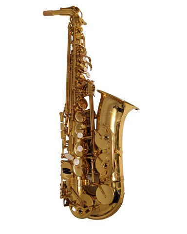 The Growling Sax TGS Avant-Garde Series Alto Saxophone Intermediate Gold Lacquer